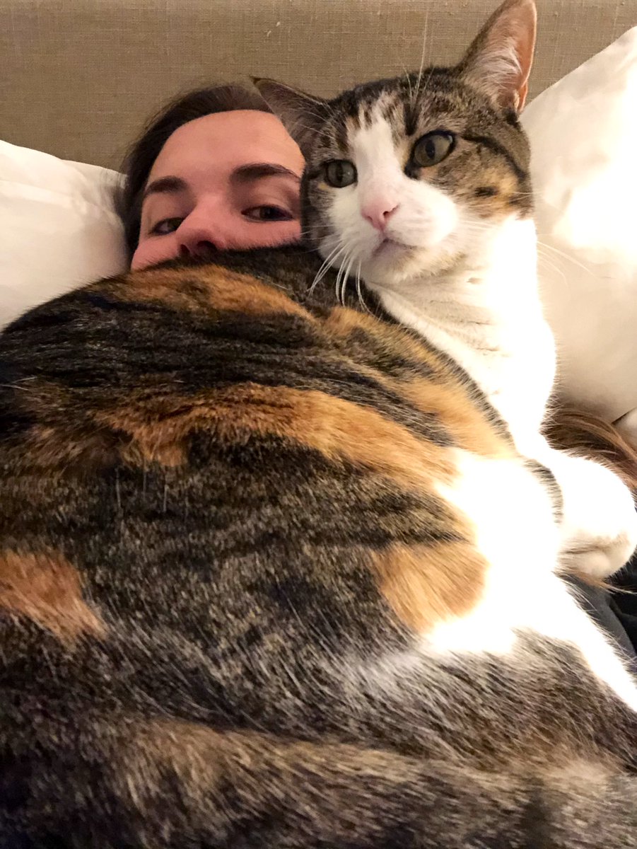 WesleighOgle's tweet photo. Wait...How do YOU nap? 😹

@CatAdopt #CATAlum https://t.co/CeS34HPdno