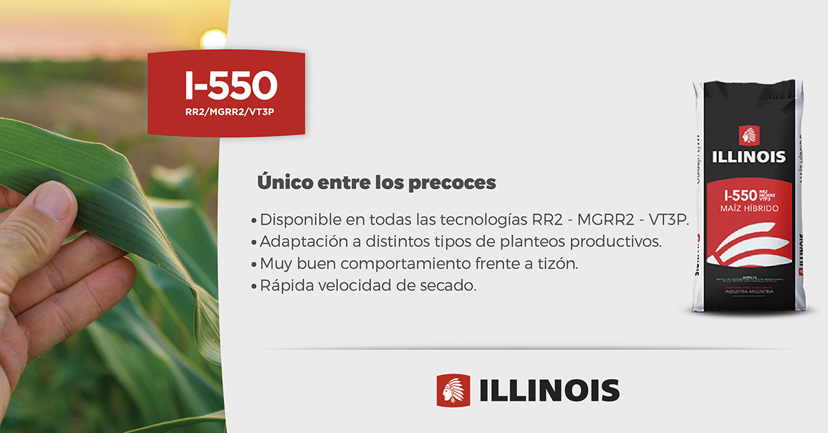 Sem_Illinois's tweet photo. Recomendado para siembras tempranas y tardías, en ambientes de alta y media productividad de Córdoba, Santa Fé, Bs. As. y Entre Ríos.
✅ Híbrido muy versátil.
Conocé más sobre #I550 👉 https://t.co/lqWC9lqsRF https://t.co/rGW5Ty8wQq