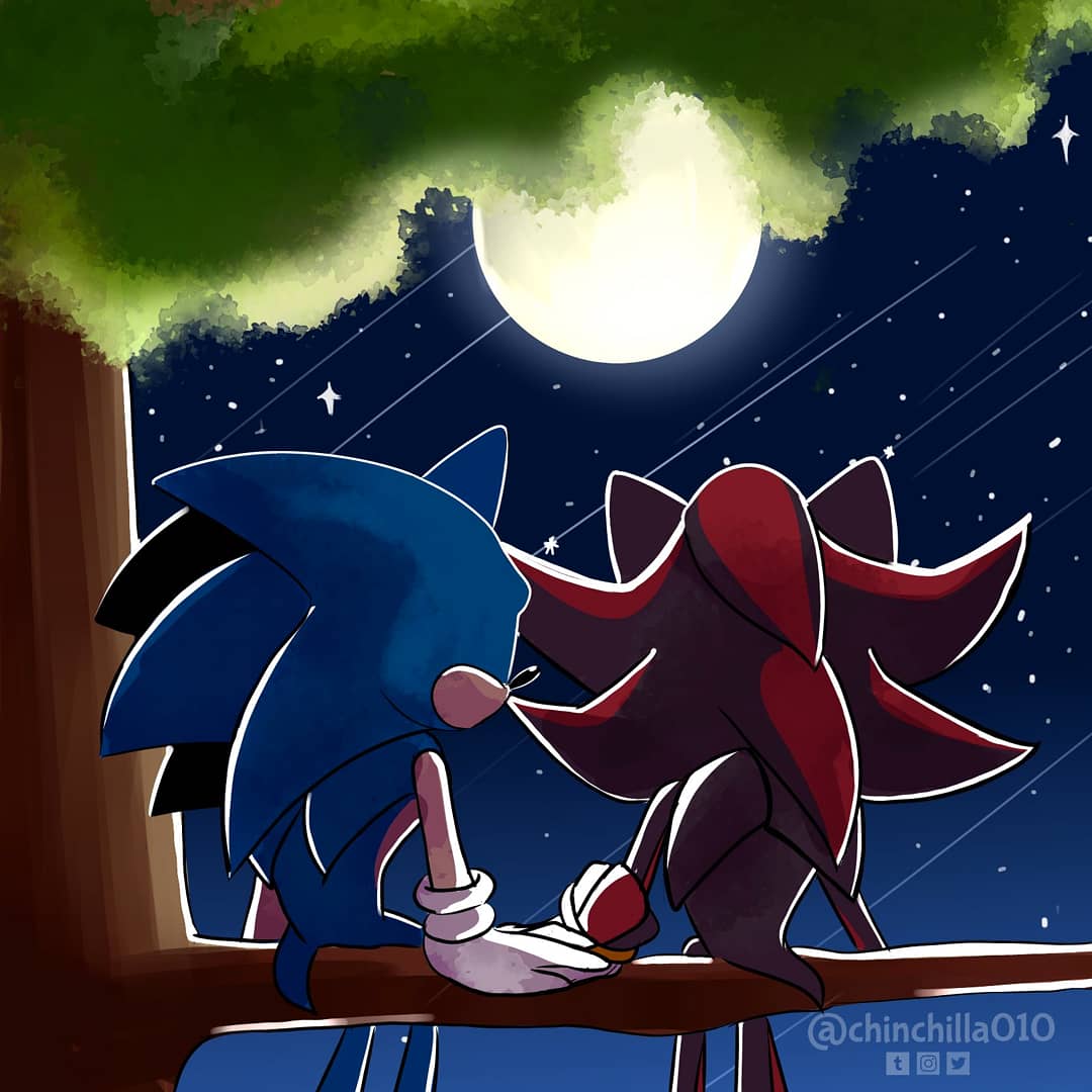 チンチラ⭐ on X: A dream??? Well atleast they kissed! #SonAmy