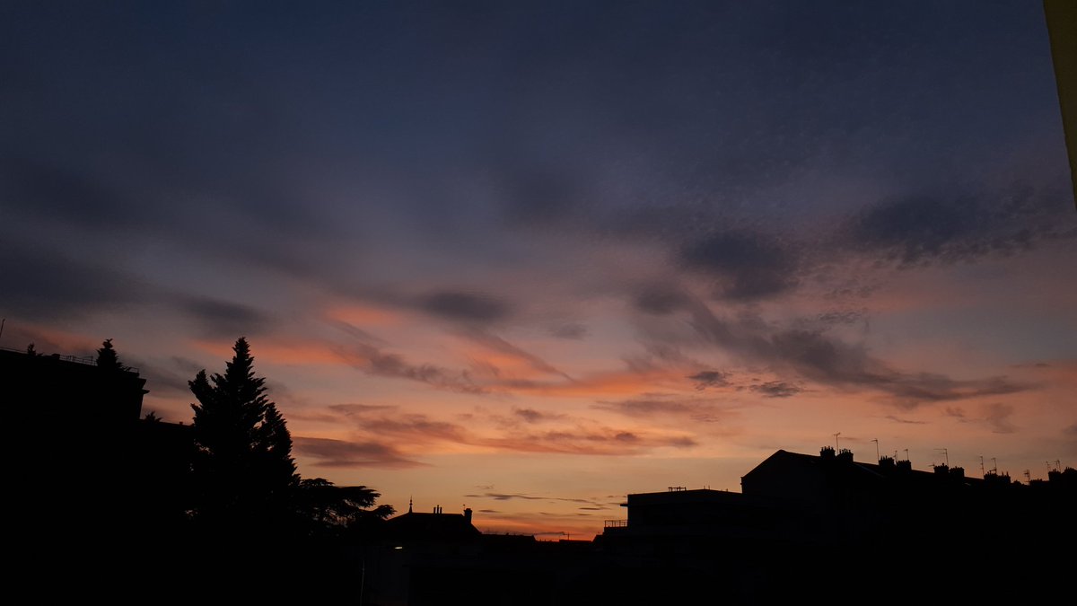 Sylvie Deplace tweet media