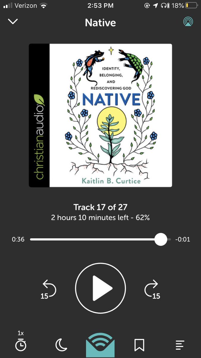 jenna_vandon's tweet image. Just finished this book and I highly recommend it to my Christian/ sort of Christian / used to be Christian friends . @KaitlinCurtice #NativeBook