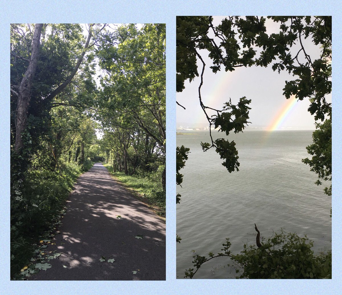 021sarahg's tweet photo. Early evening walk through sun and rain (and rainbows) ☀️ 🌧 🌈
#LockdownIreland
#PositivePsychology
#greenenvironments
#WildAtlanticWay
@pure_cork https://t.co/65C4WYi8k5