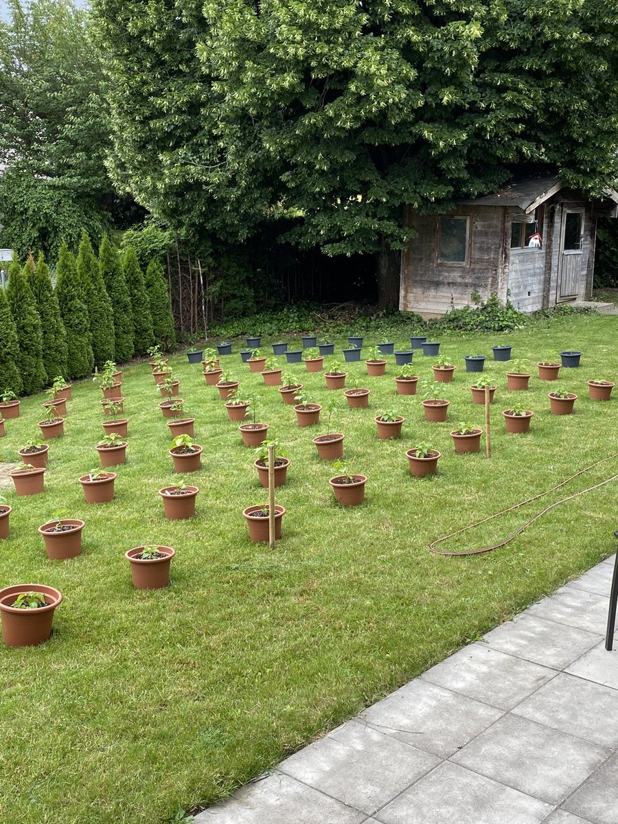 Chili Willy (@chiliwillybaden) on Twitter photo 