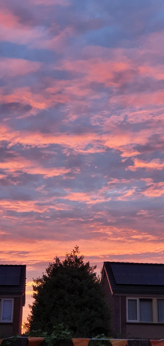 babbel56's tweet photo. #mooirodewolken#macharen#mooibrabant. https://t.co/uuwND036iO
