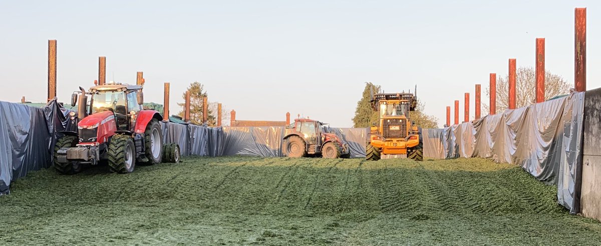 Pretty psyched to get the 1st cut silage analysis back today!🌱
Both bales and clamp coming back at 24.7% and 19.7% Ptn respectively with D Values of 75% &amp; 81%! 
Both grass nitrate tested pre cutting.

🔥🔥🐮🐮 <a href="/TulleyWill/">Will Tulley</a> <a href="/ShropFarmVets/">Shropshire Farm Vets</a>