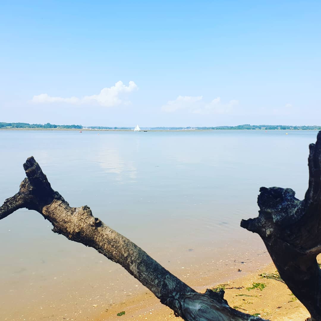 Lockdown Lunchbreak...very grateful!