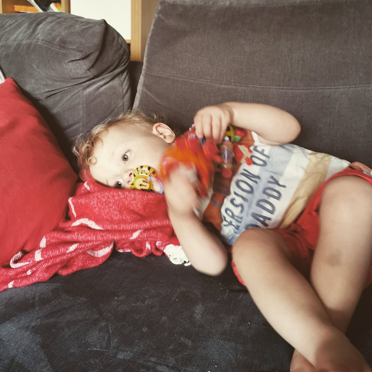 leoniemathers's tweet photo. At the end of another long week of #lockdown, one positive of all this is that we no longer need to make up excuses about why we aren't out on the town ๐๐ time to curl up on the sofa like this sleepy boy and put some rubbish TV on. #dailycute #daysixtyfour #weekend #bankholiday https://t.co/nvGsORjqp2