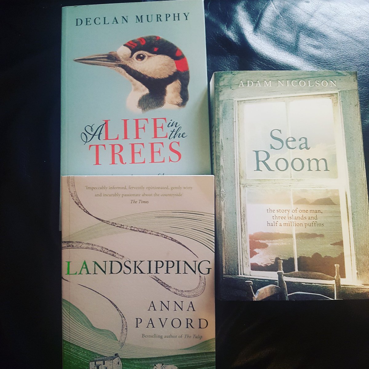 SwansofWinter's tweet photo. Thanks again to @BooksUpstairs for the reccomendations and speedy delivery! Great to get a personal service when you can't visit the shop to browse https://t.co/CsO4xUpWB1