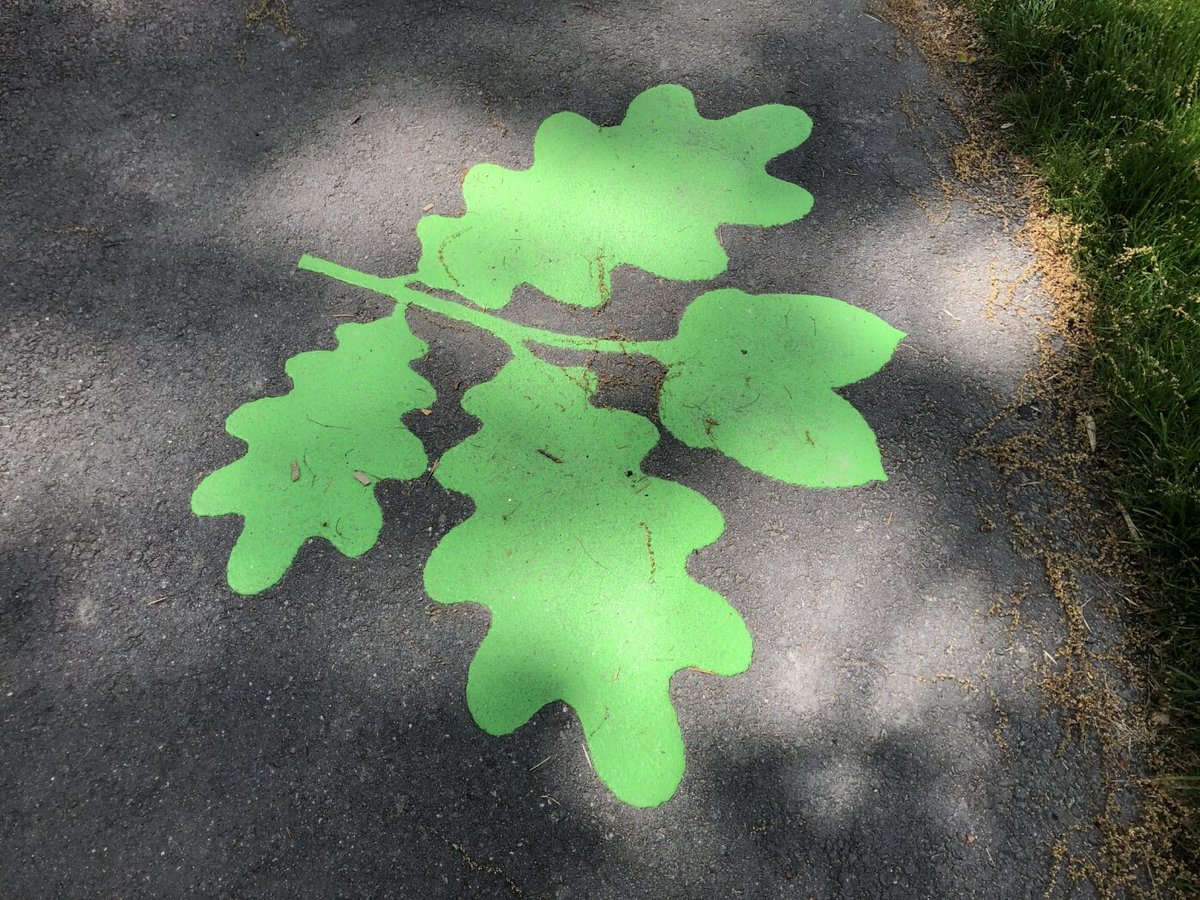 Square One Paving tweet media