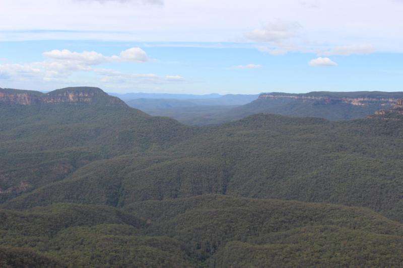 RetiredWhatNow's tweet photo. Our Trip To #NewZealand &amp; #Australia - Part 41: 
https://t.co/XPVeNrklYN

#AustraliaTravelRecommendations #BlueMountains #NewZealandTravelRecommendations #FeatherdaleWildlifePark #AustraliaTravelForSeniors #NewZealandTravelForSeniors https://t.co/1A8ahrtfjd
