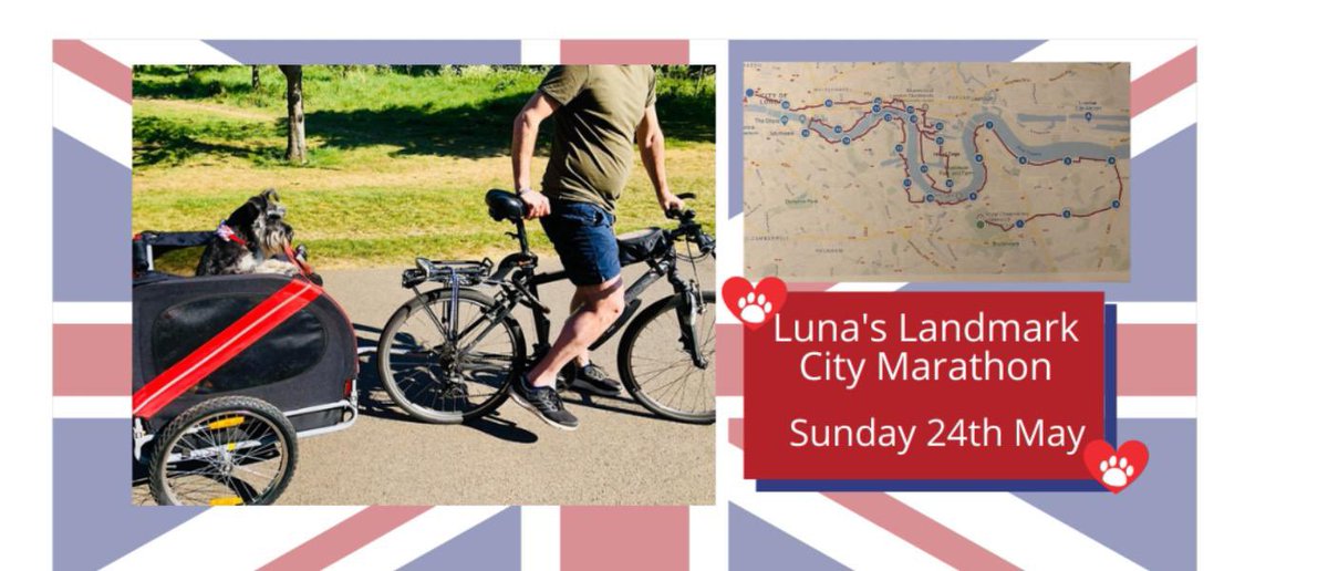 Hey #SchnauzerGang a special little schnauzer called Luna is doing a bike Landmark Marathon in London on Sunday. If you’re out and about in London on Sunday, look out for her.She has already raised over £3K for @DBARCBerks #retweet More info &amp; to sponsor uk.virginmoneygiving.com/fundraiser-dis…