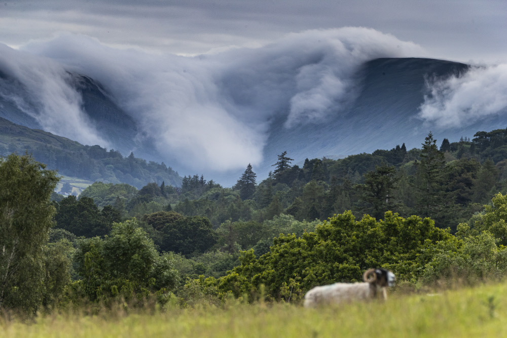 nationaltrust's tweet photo. When the weather can’t make up its mind, stopping for a moment to admire its beauty can unlock a sense of calm. https://t.co/k0ZPMVa3rI