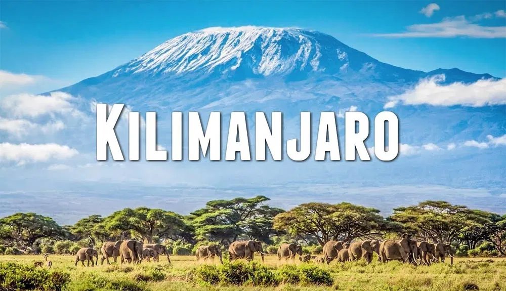 ClaudiacubaG's tweet photo. El Kilimanjaro es una montaña situada en el noreste de Tanzania. Es la montaña más alta de África y la montaña independiente más alta del mundo. 
#1GIATporelmundo 
@SarakeniaG https://t.co/Rg1cGdhN6t