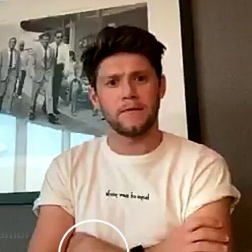 NIALL HORAN’S sarcasm 101: from the definition of performance to banana bread.A NECESSARY THREAD.