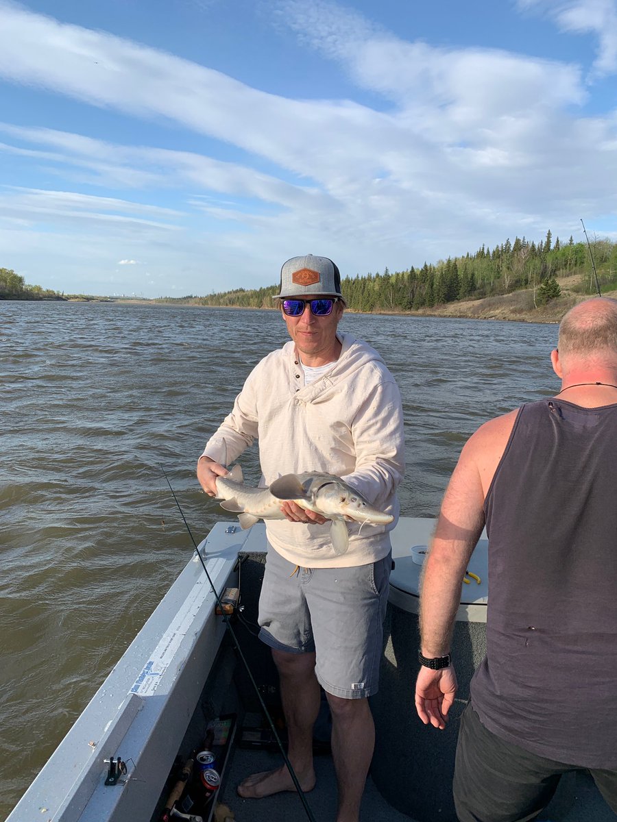 Jay Ostashek tweet media