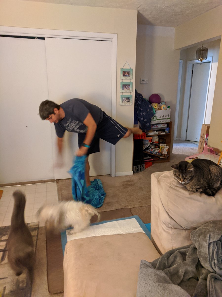 mrgeorgePE's tweet photo. Both Successful with the towel flip challenge.  Rascals, Wrigley, and Teddy all tried to get involved on my turn.  Gabby's strategy was a little better than mine.  #playblue #kenstoninspired  #bombersonlinetogether https://t.co/EfJ0sae6m2