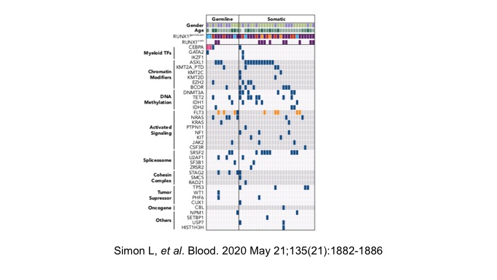 Paul Saultier, MD, PhD tweet media