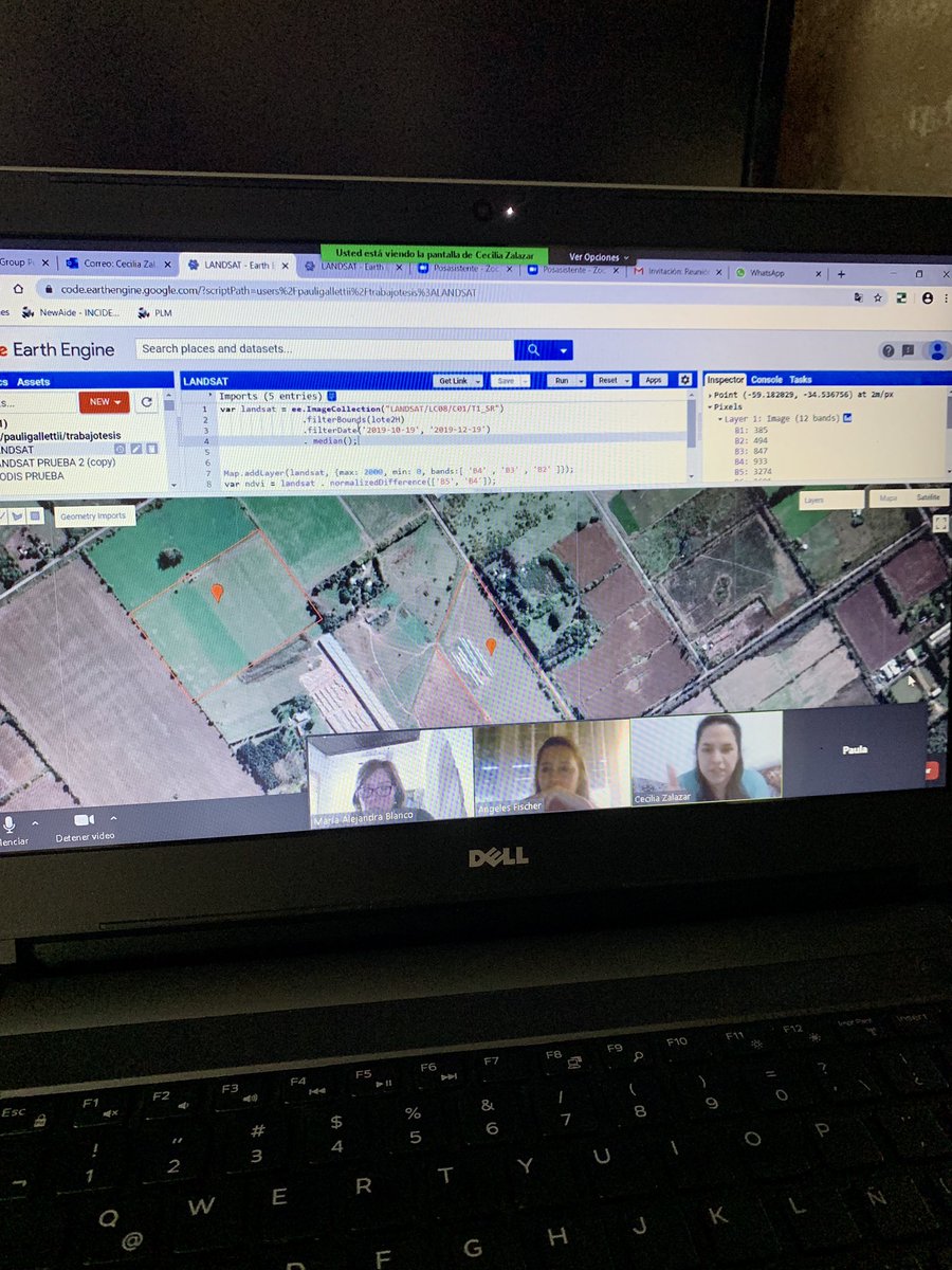alexiswhitedays's tweet photo. Producción Forrajera y tecnología #trabajosdeintensificacion #UM #GoogleEngine @forrajes2030 https://t.co/v25JJotOIJ