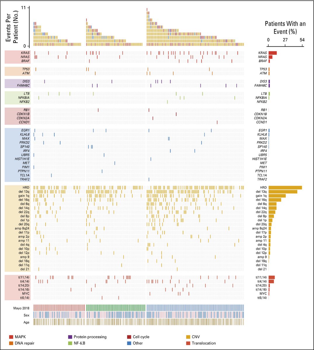 We profiled 214 diagnostic SMM tumor samples by exome(166) and targeted (48) sequencing. We found that the genomic landscape of SMM is the same as overt MM in terms of frequency and occurrence of all MM genomic events with exception to biallelic inactivation events