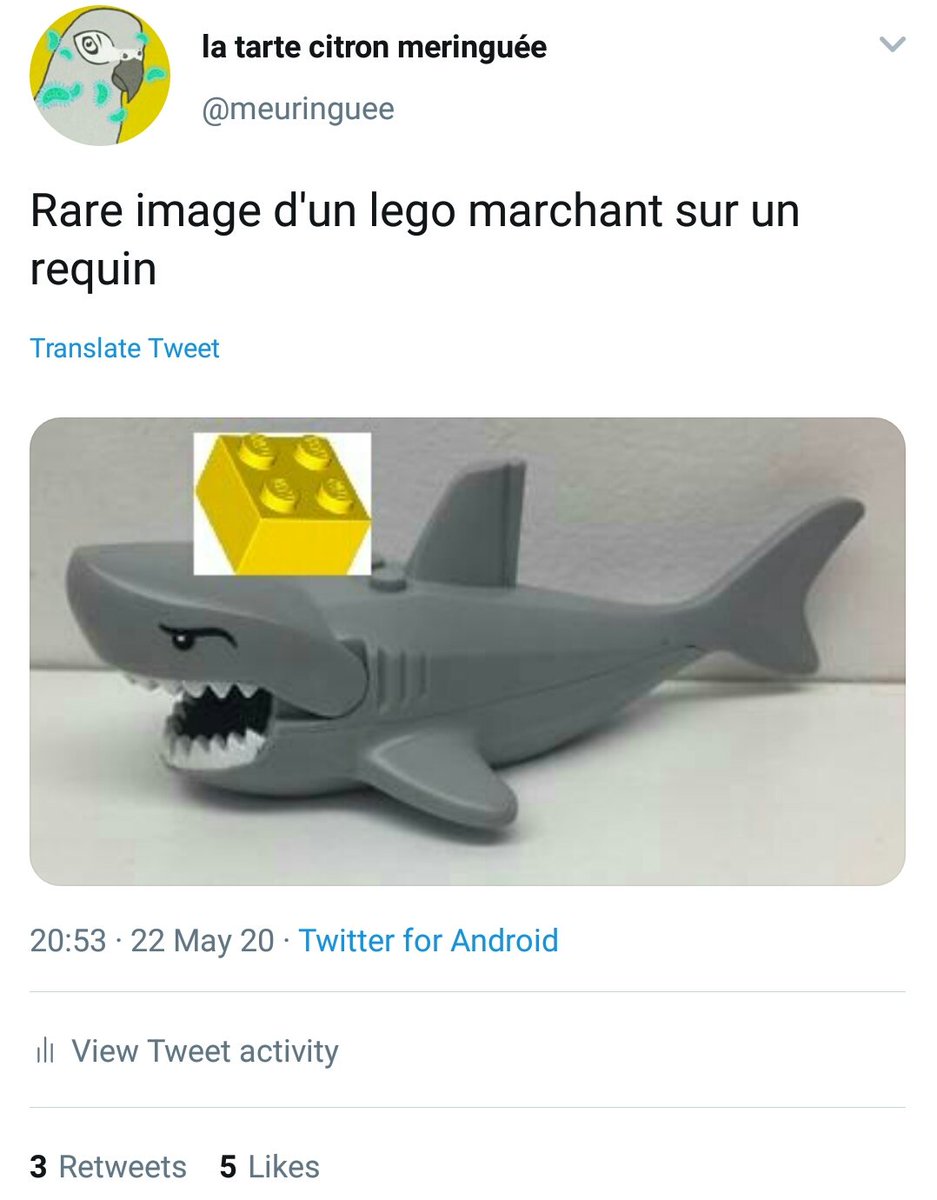 Max Rare Image D Un Lego Marchant Sur Un Requin
