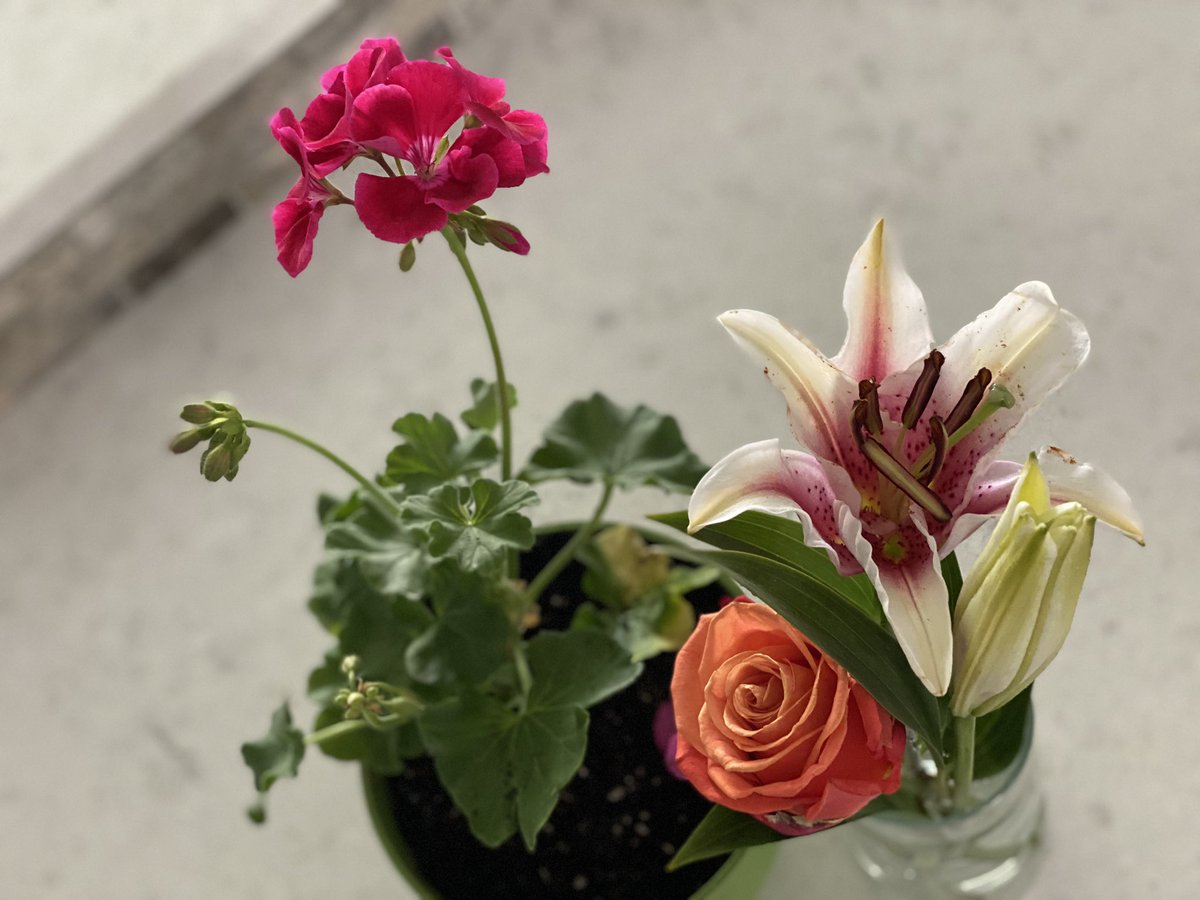 My classroom assistants and I did a parade of our own today. Drove to each of our Ss houses to drop off their EOY gift. So great to be able to say goodbye to them! SS shared some gifts with us too! ❤️ my heart is happy!