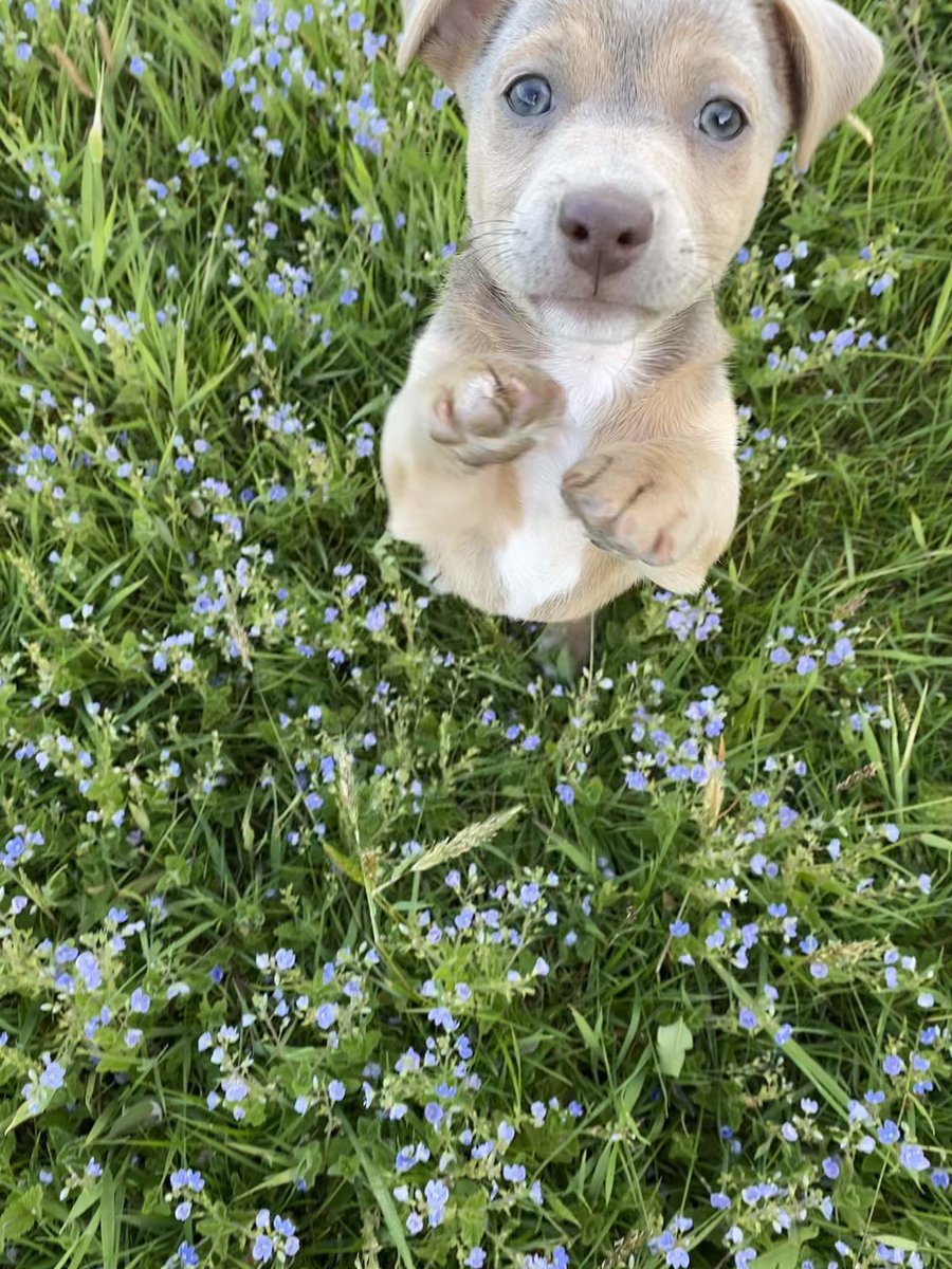 NFU county adviser in LNR tweet media