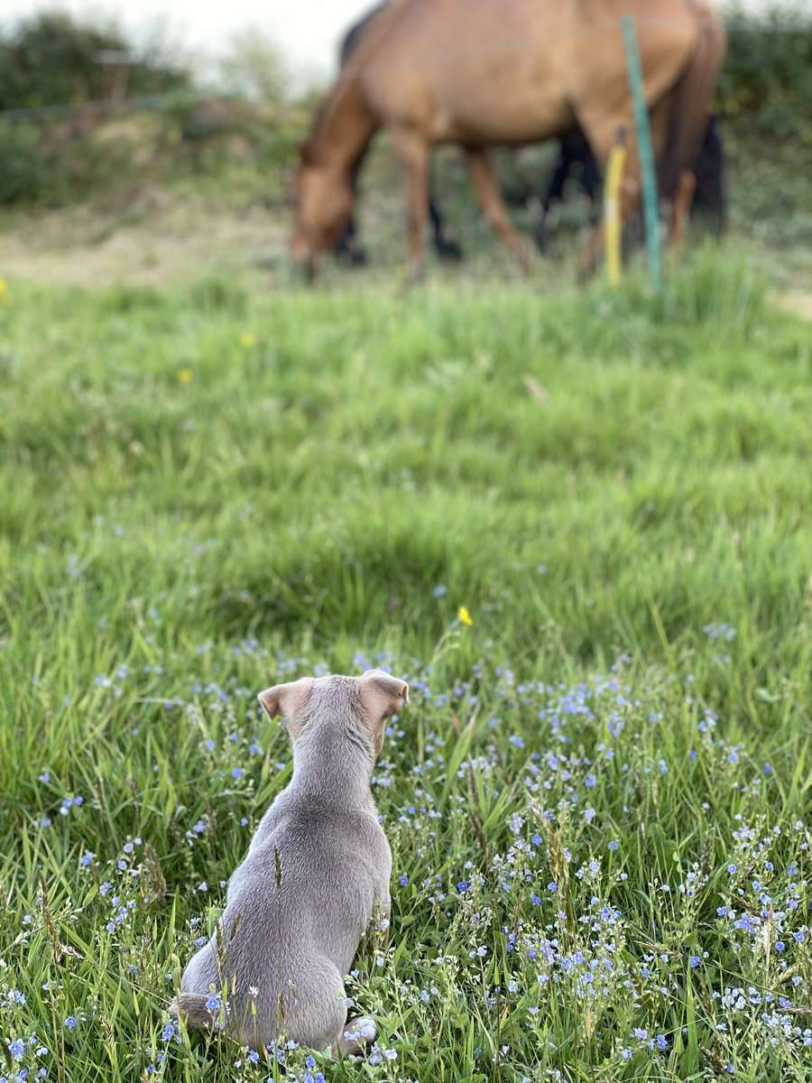 NFU county adviser in LNR tweet media