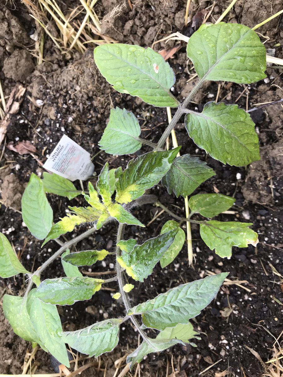 Derrick Bender tweet media