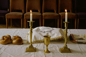 susan pashman tweet media