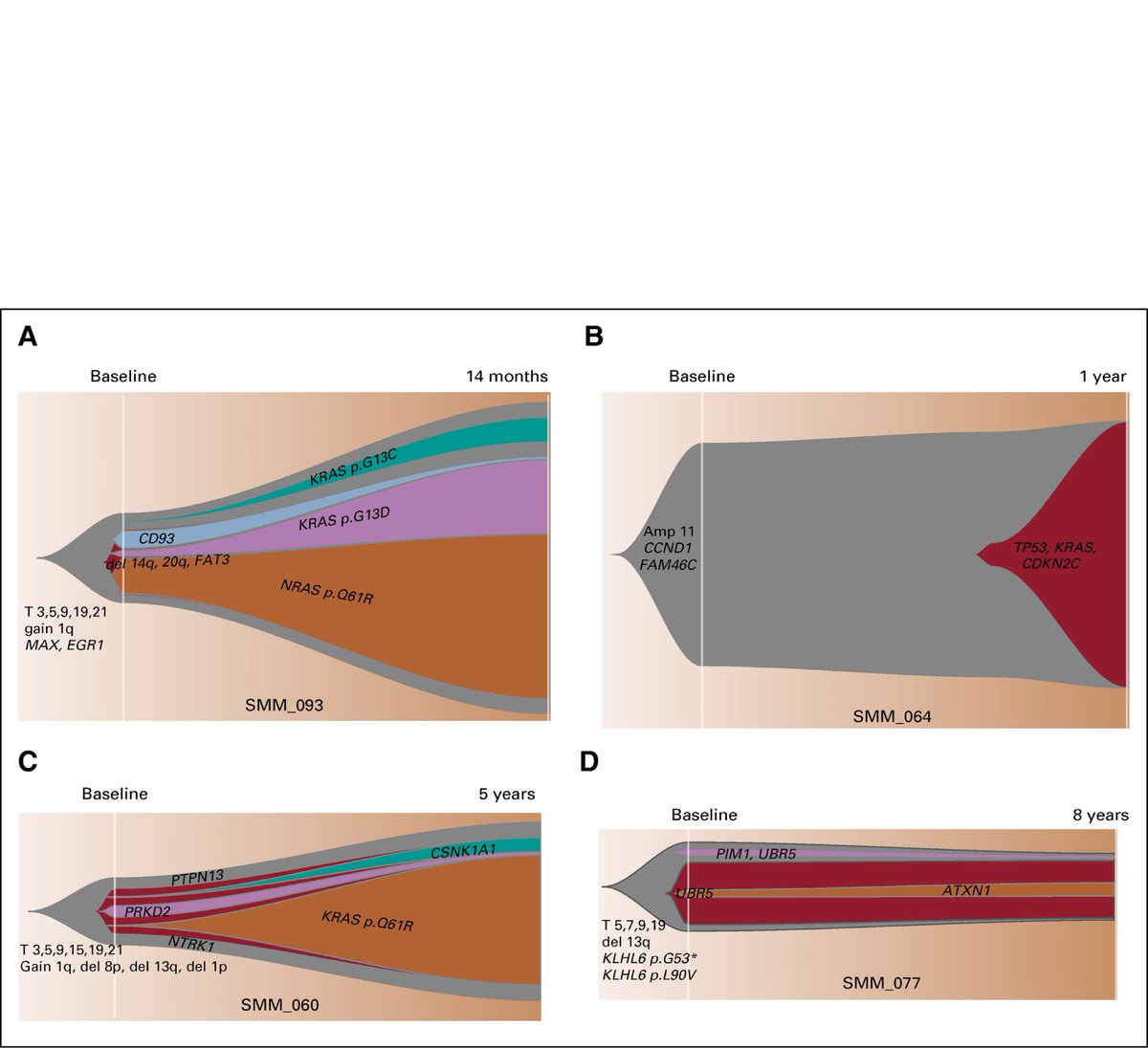 Also analyzing serial samples at time of diagnosis and time of progression or latest follow up (1-8 yrs) showed that most driver events were found at the SMM diagnosis, but with evidence of clonal evolution with subclonal CCFs changing over time and not static.