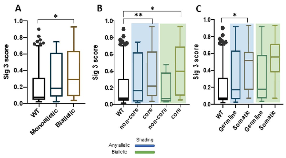 CentralParkWMD's tweet photo. Our talented computational scientist @Jiapeng_Chen from @xrtGenomics lab compared different mutational signatures. Among those we interrogated, we report on #TMB (tumor mutation burden), #LST (Large-scale state transition), and #Sig3 (Signature 3 by SigMA method @Peter_j_Park) https://t.co/fZuRQaUXb7