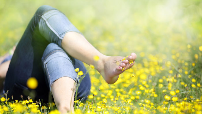 susan pashman tweet media