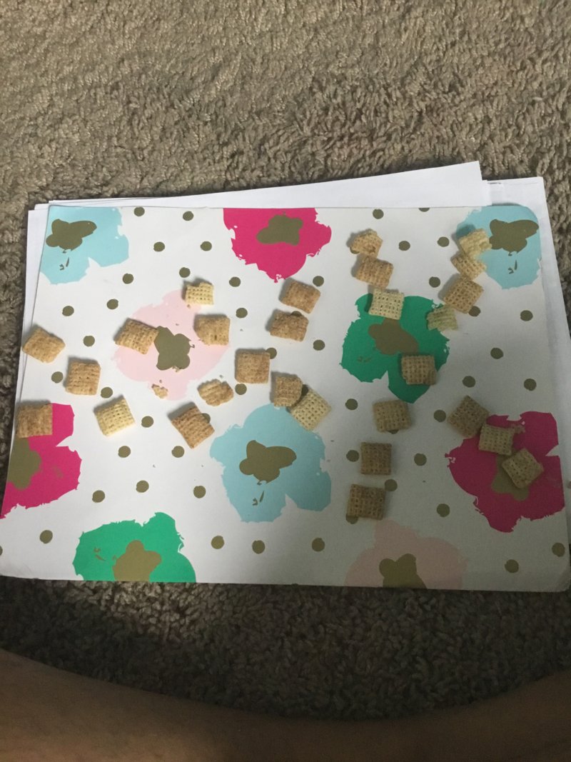 Racquel21's tweet photo. More Student Responses:
#mathwithmeMN @mathwithmeMN #mathwithmeSPPS https://t.co/0L9AgyZKEG