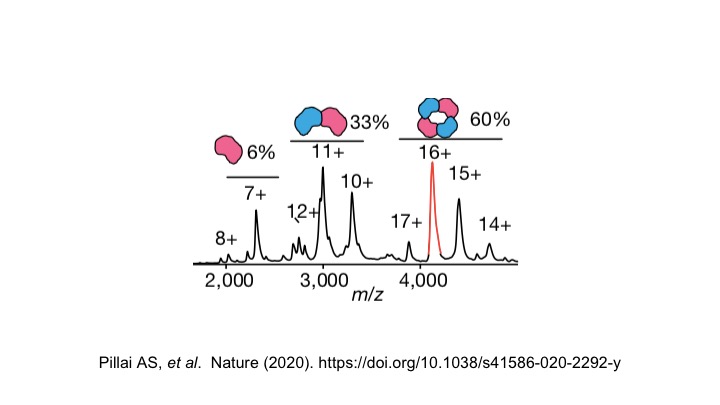 Paul Saultier, MD, PhD tweet media