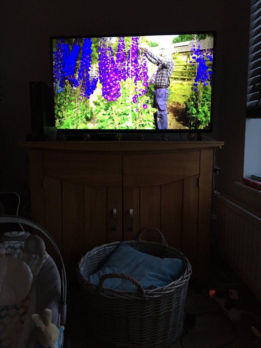 Sarah Piggott tweet media