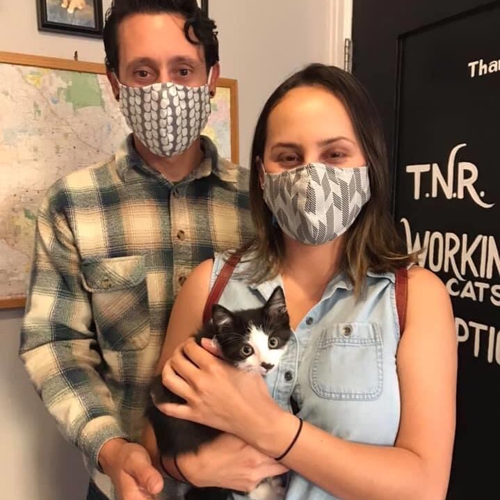 kittybungalow's tweet photo. We had several kittens graduate this week & go home with their furever families! ๐
Congrats Dolphin, Renfri, Eugene & Sly! ๐บโค๏ธ #FromHissToHome #AdoptDontShop #CatsOfTwitter https://t.co/bqKDBxcuc0