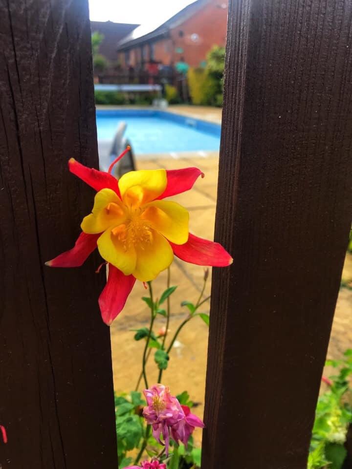 Wish we had some campers onsite to appreciate the flowers blossoming right now 😍💐🏕 #campsite #camping #caravan rutlandgreendale.co.uk