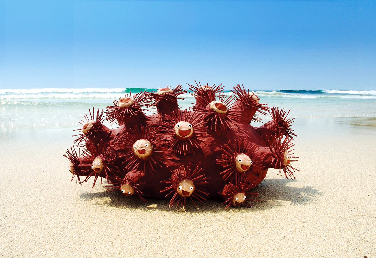 Natsuko Kogure 木暮奈津子 On Twitter シーアネモネ お家で海