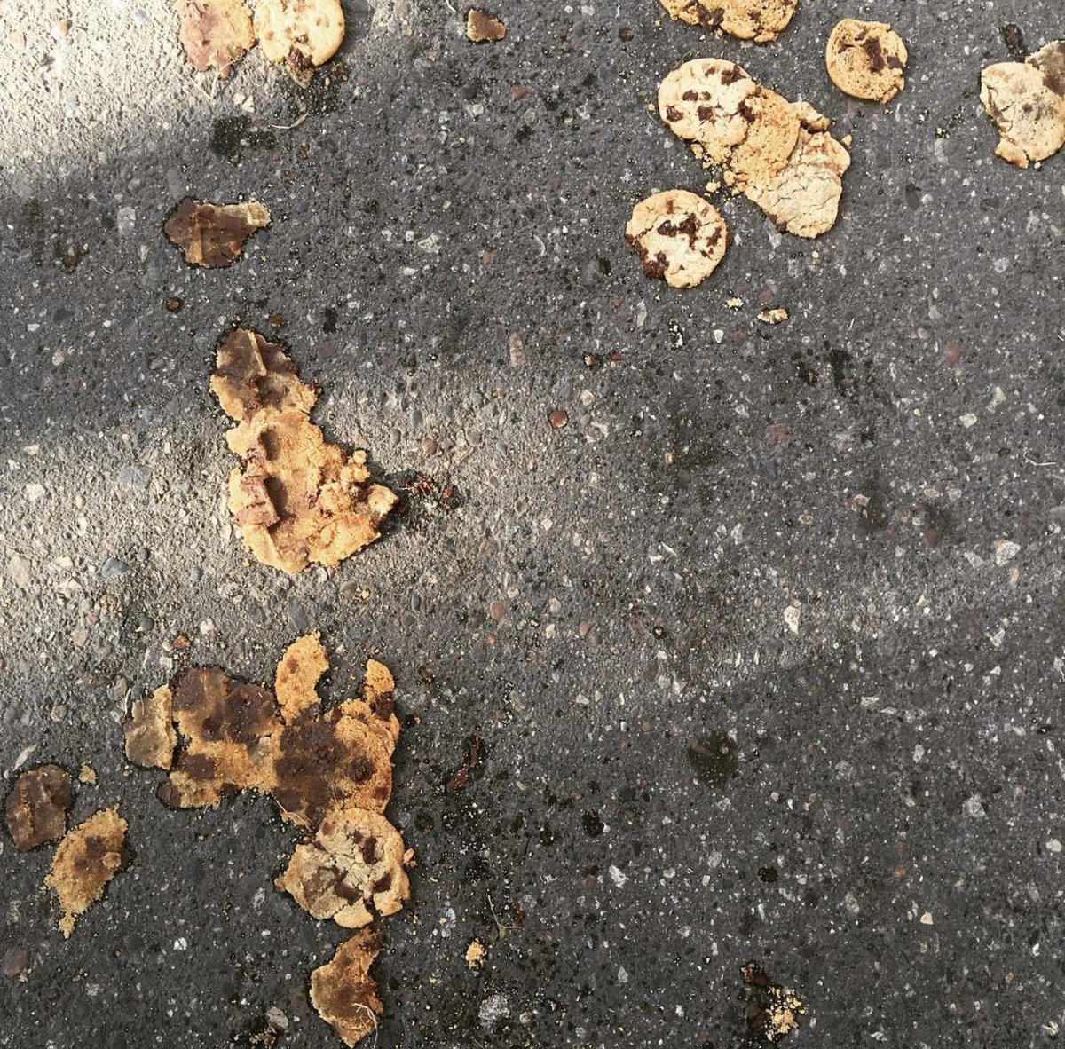 Important Plans                2020