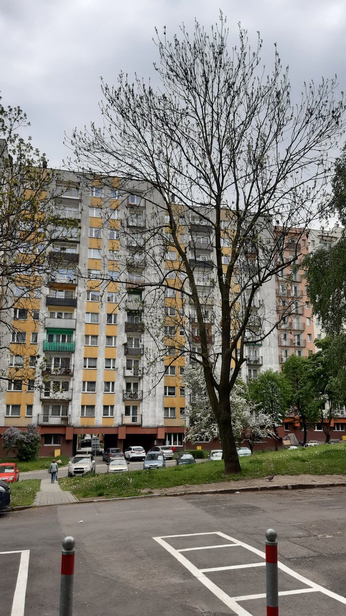 Katosyiokolice's tweet image. Ostatni rzut oka na plyte z tamtych lat zanim ją zakryją. #ospaderewskiego #bloki #katowice #silesia