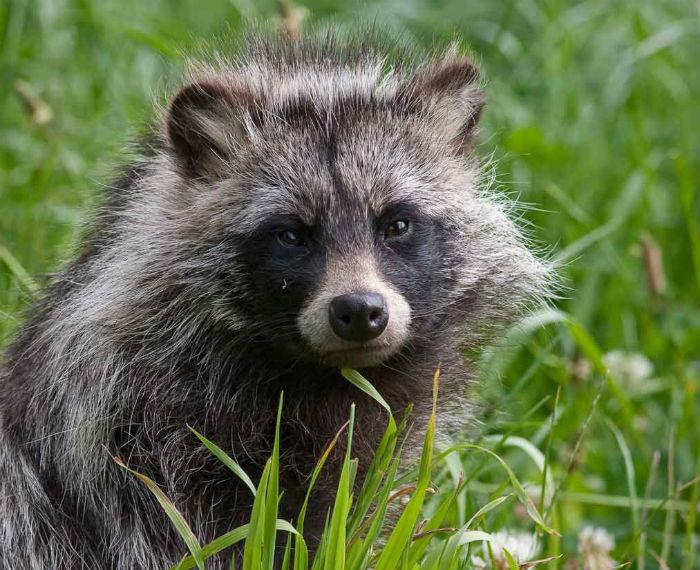 #DíaInternacionalDeLaDiversidadBiológica La participación social en el cuidado de la fauna local ayuda a cumplir la #CartaDeLaTierra para el #DesarrolloSustentable <a href="/cristinazuetar/">Cris</a> <a href="/Analy_Canto/">analy canto</a> <a href="/Mitzvela/">𝑴𝒊𝒕𝒛</a> <a href="/less_zzzz/">Less_</a> @melissajuarez__ <a href="/DamarisOjeda29/">Damaris🍓</a> <a href="/marielingp/">Irasema González</a> <a href="/MonicaCauich22/">𝓜𝓪𝓻𝓲𝓼𝓼𝓪 𝓒𝓪𝓫𝓻𝓮𝓻𝓪 🐝</a>