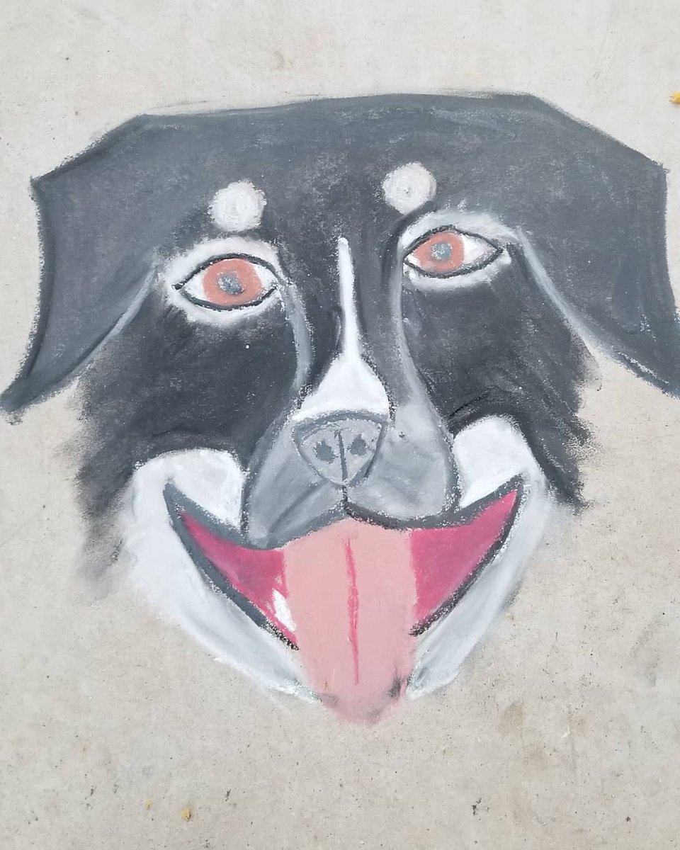 NoCommonTater's tweet photo. Is my head really that large?

#dogsoftwitter #chalkart https://t.co/pya4LCqX2u