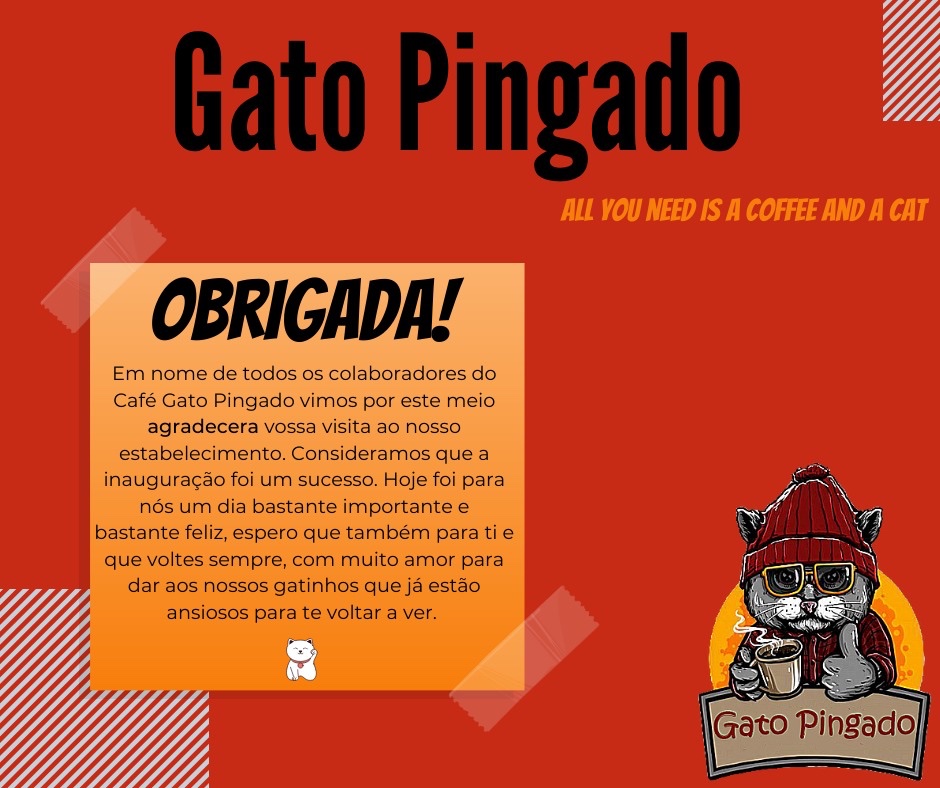 GatoPingado_'s tweet photo. Queremos por fim, dar um agradecimento especial a todos os que nos ajudaram a crescer! Esperemos que tenham gostado ❤️🐈🐾 https://t.co/254LFVWFlO