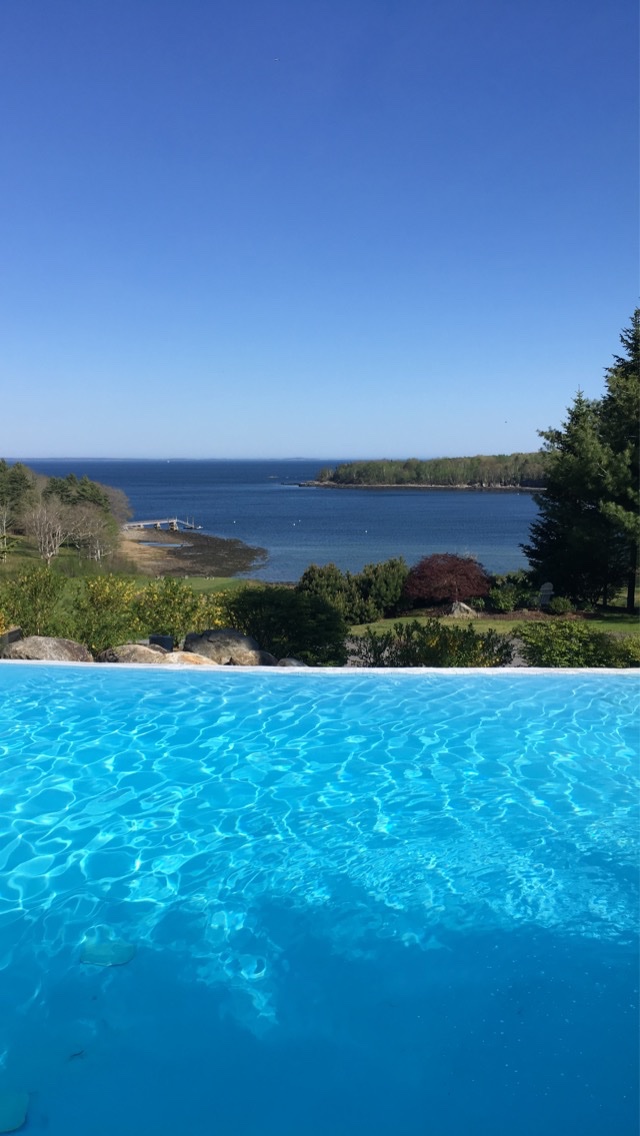 WinteristBoi's tweet photo. the IDEAL™️ Summer Day 💖 vibing in the pool with friends all afternoon 😌 livin 4 this ✨ https://t.co/vuorwhB9ap