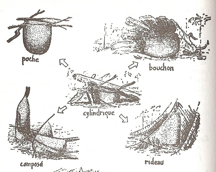 La manœuvre est répétée jusqu'à former une structure compacte composée de milliers de fourmis (les colonies en comportent plusieurs centaines de milliers). En son centre : la reine, seul femelle de la colonie à pouvoir pondre ; les autres servent d'ouvrières/soldats.