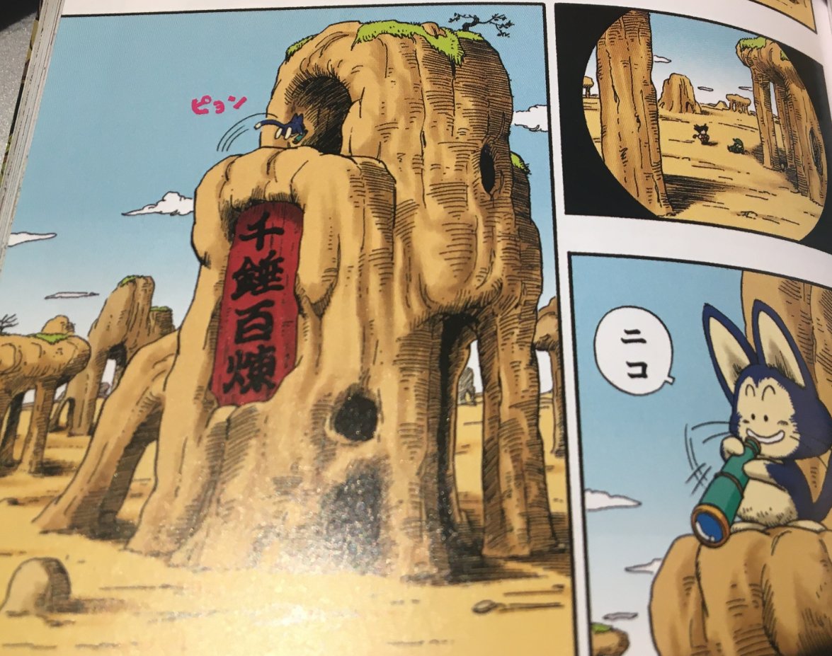 The characters on Yamcha's hideout, "千錘百煉" basically translate to a Chinese martial arts idiom about continuously honing your skills.Obviously, it wouldn't fit into a narrow space as English, but the choice of "Kung Pao" in its place is really odd.