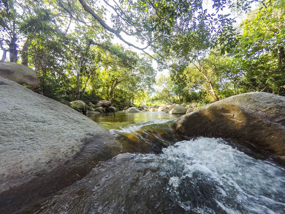 Una de las maravillas de Canoas, Manzanillo son las venas donde nace el agua y que rodean toda la región, por lo que no utilizan el servicio de agua embotellada.

Tiempos turbios, pero nos mantenemos de pie... ¡abrazos desde Colima!