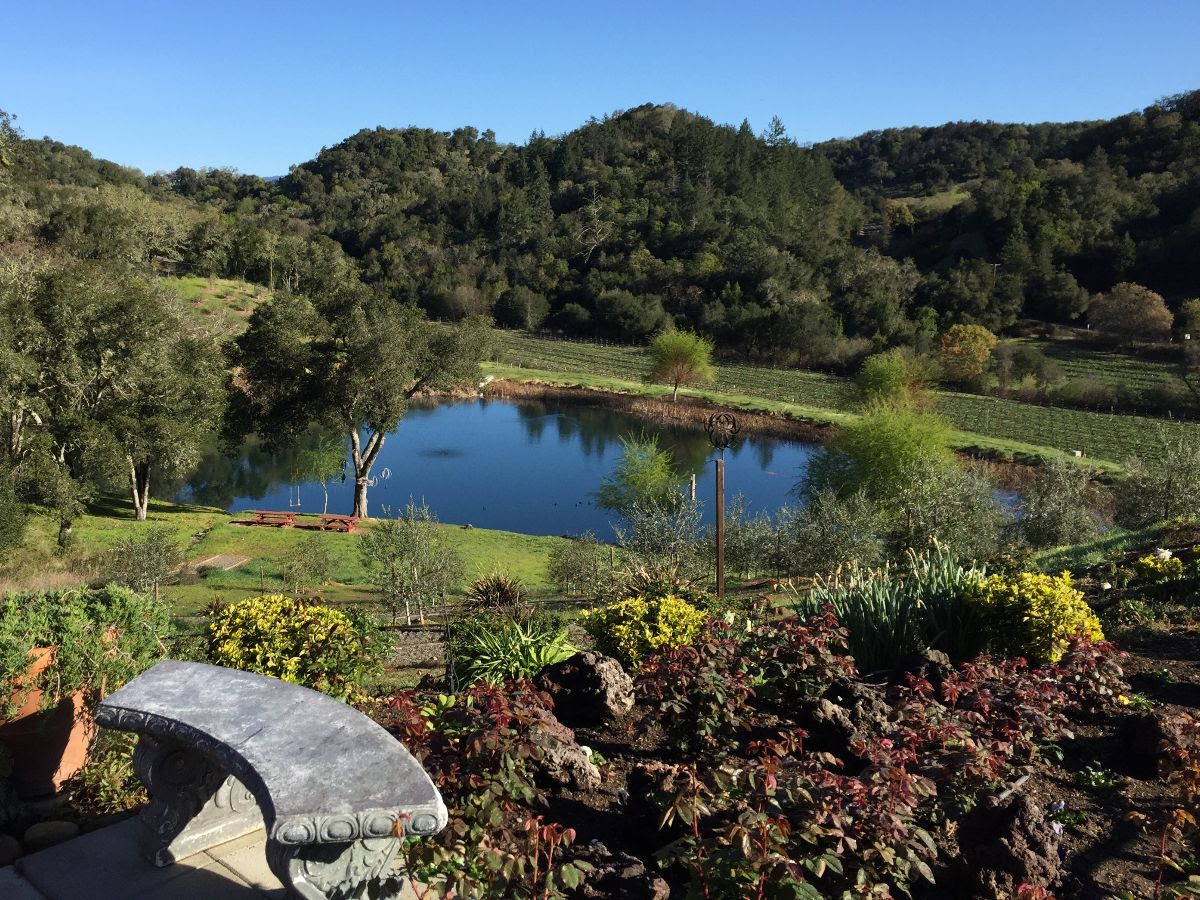 Priority Wine Pass tweet media