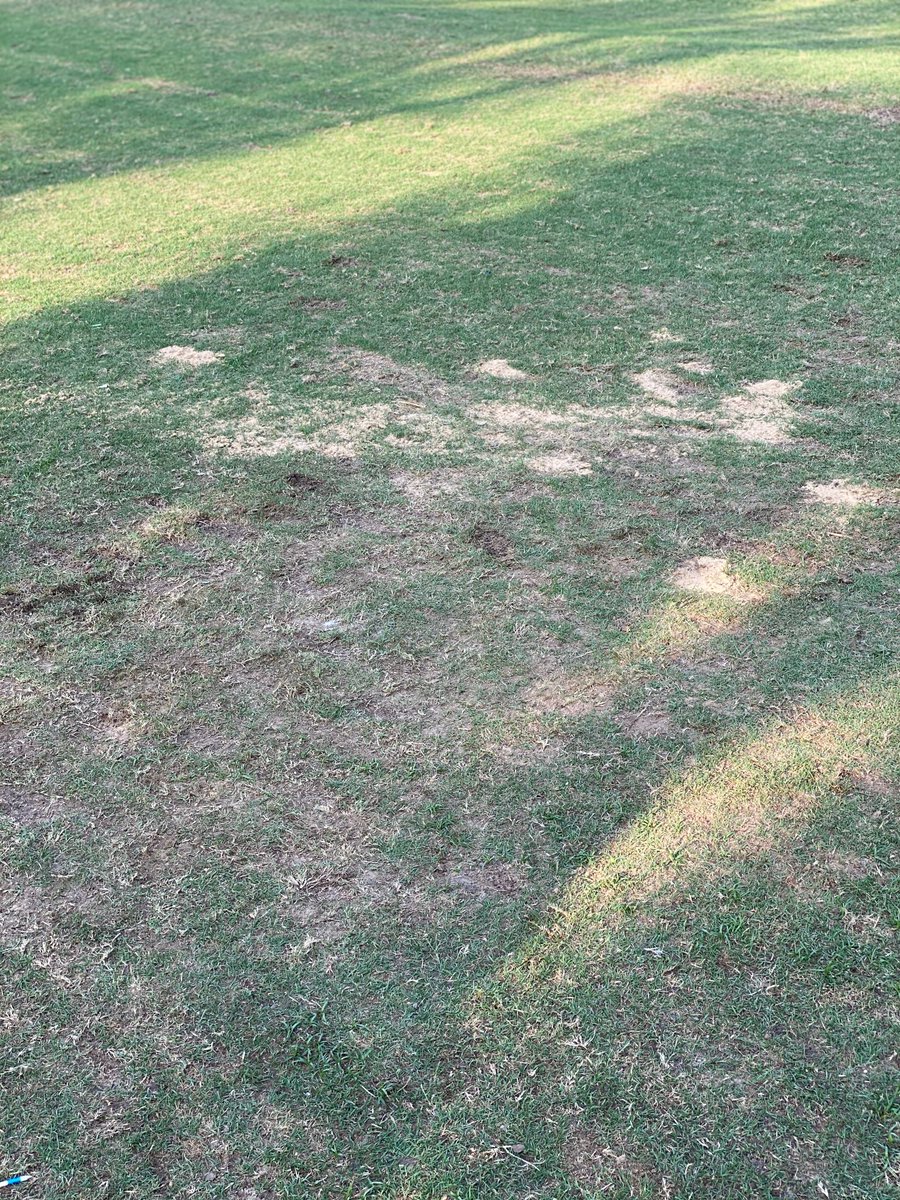 davidhill_ns's tweet photo. Luna Vista Golf Course - Dallas, TX - Played yesterday &amp; the course conditions were on par with my golf game; not great. Set your expectations LOW if you plan to play here this weekend. Also, this is a tee box, not a bunker.
Here's my take.  @LunaVistaGolf #MunicipalGolf https://t.co/G0HFo7un9p