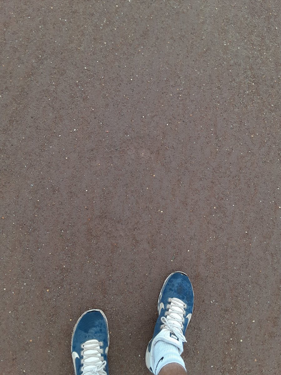 JoeyElmore38's tweet photo. The fact I was able to walk my infield after 11" of rain baffles my mind and speaks to @DuraEdge infield https://t.co/ZThdUM4SOg